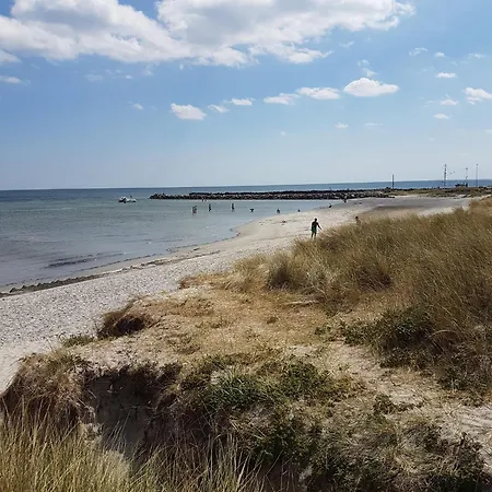 Vakantiehuis Prachtig Vrij Zomerhuis Met En Wildernisbad